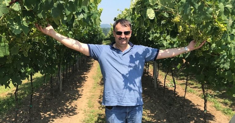 ČUDO U ŽEPČU Bivši radnik Uljanika Vinko Zovko želi izgraditi vinariju za proizvodnju 30 miliona litara vina