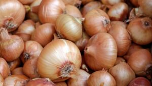 onions 1397037 1920