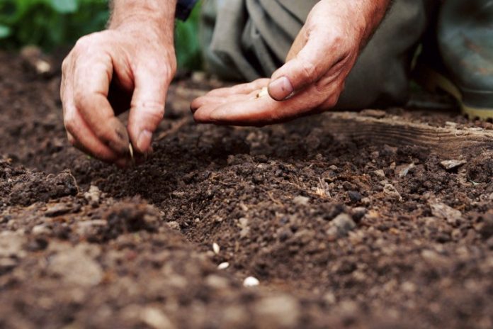 poljoprivreda 444 696x464 1