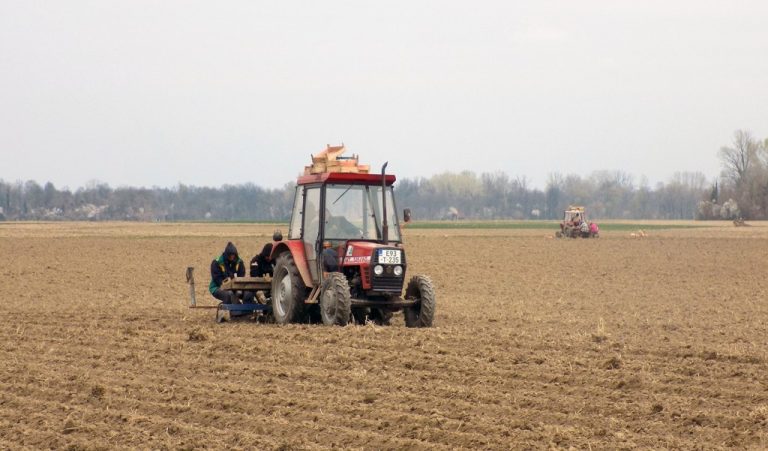 Vakufska direkcija: Zasijmo svaki kvadrat vakufske zemlje