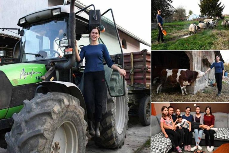 U njezinom radnom danu nema puno stanki, od ranog jutra muze krave, sprema djecu za školu …