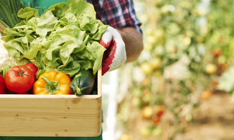 prikupljanje zekata Ilustracija