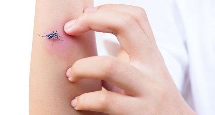 prirodna za tita protiv komaraca 5938ee792d1bd 1200x750c