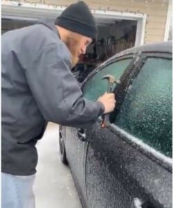 prt sscr trik zaledena vrata youtube januar 2021