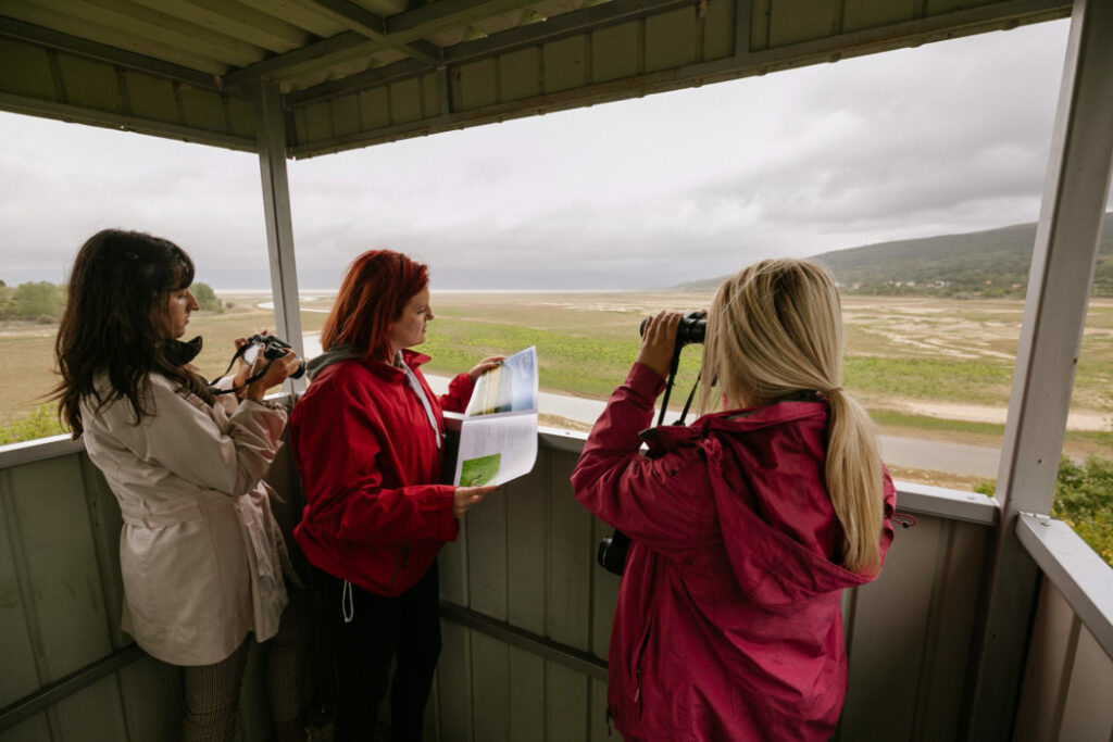 reportaza ptice8 scaled e1602892257739