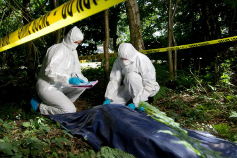 TRAGEDIJA U BIH:  Prilikom sječe šume smrtno stradao radnik