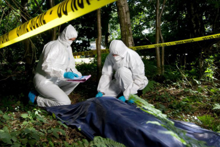 res e962cc82caad7b320d21a85520b97839