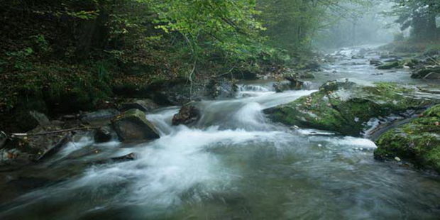 Podrška građanima Krušćice u njihovoj pravednoj borbi za zaštitu svog životnog prostora