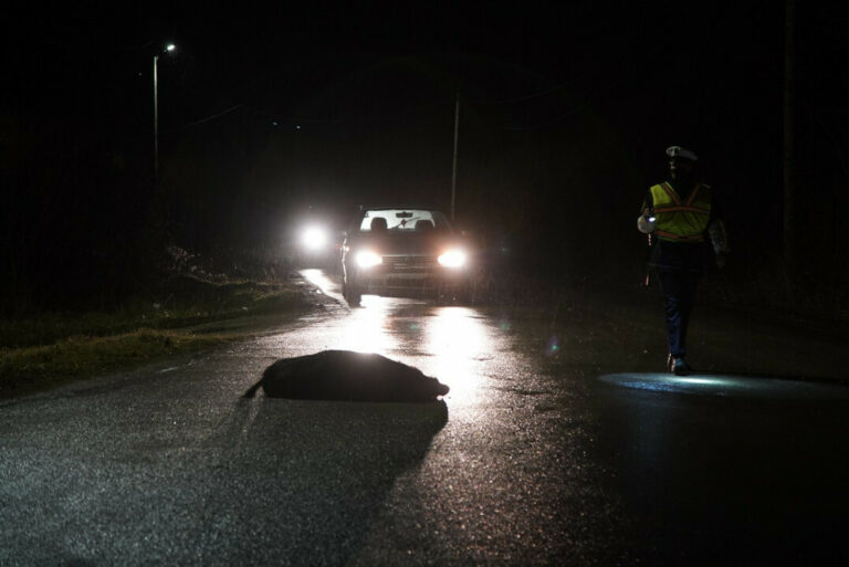 Nesreća kod Visokog: Automobilom udario divlju svinju, pogledajte fotografije s lica mjesta