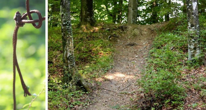 sajla jelenje 1 660x330 1