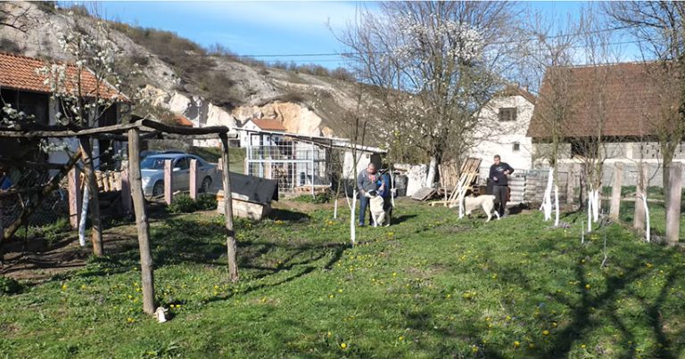 Braća Ramljak svoju budućnost vide na selu (VIDEO)