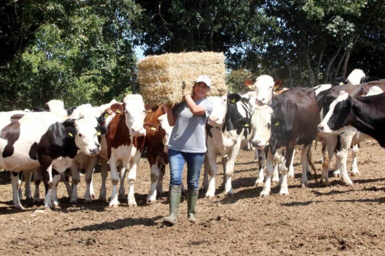 Spas od stresa u gradu pronašla na selu: “Život nam je lijep”