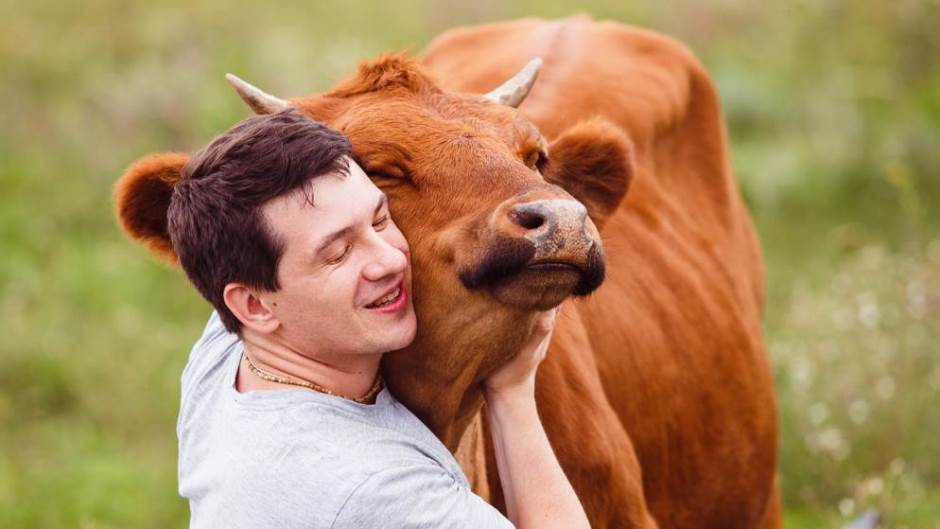 shutterstock 1145203952