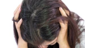 shutterstock 1413735989 seda kosa