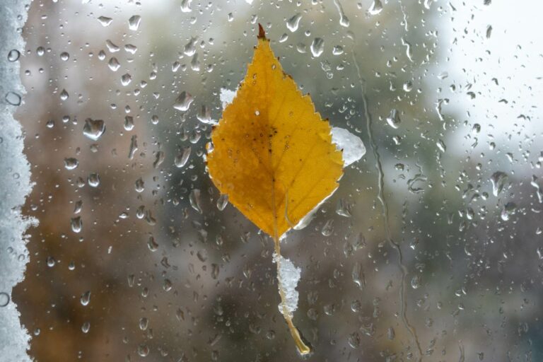 Za pet područja u BiH izdat žuti meteoalarm zbog obilne kiše i vjetra
