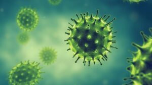 shutterstock 1612792156