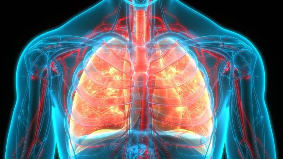 shutterstock 1709513431