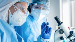 shutterstock 1731649345