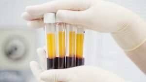 shutterstock 241407193