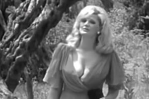 silvana armenulic 90 696x464 1