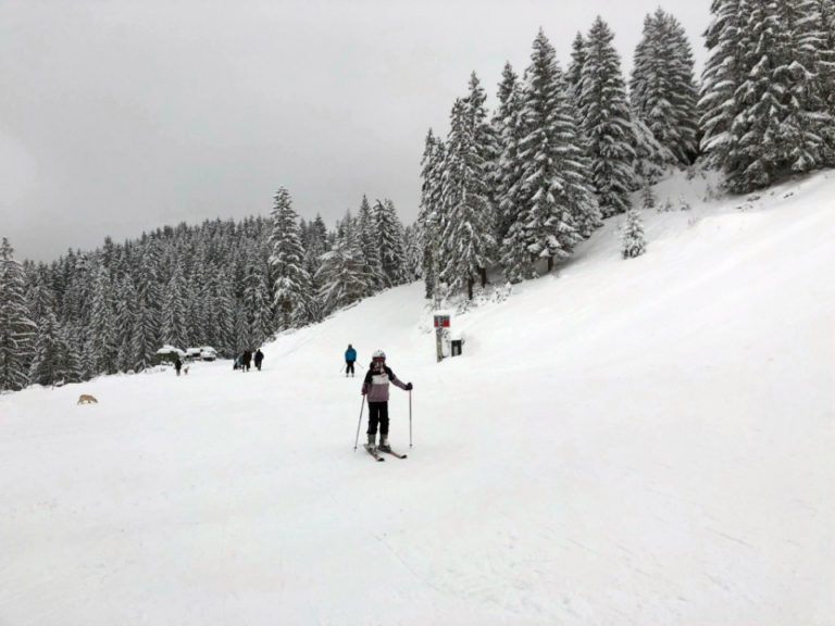 Deset pravila ponašanja na stazi za sve skijaše i snowboardere