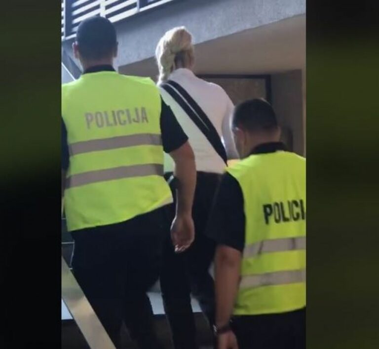 Profesorica iz Beograda krenula na izlet u BiH, pa uhapšena po Interpolovoj potjernici