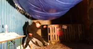 snimci viralni video ilustracija januar 2021