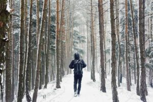 spavanje suma zima decembar 2020