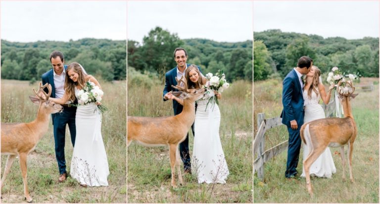 Mladence u fotografisanju prekinuo jelen, rezultat su najljepše slike