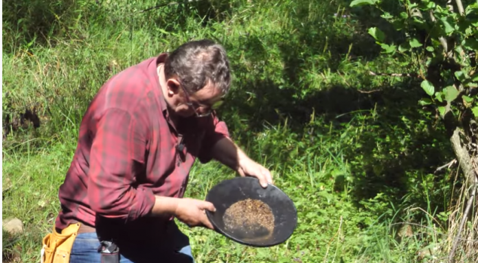 tragac zlata 696x383 1