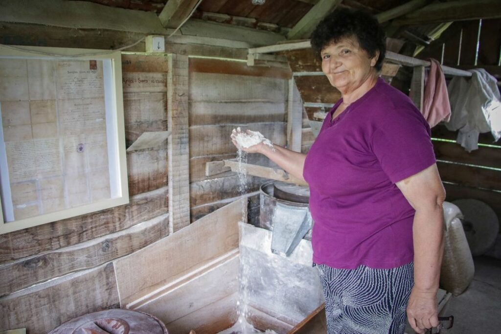 vodenica laktasi bih zito AA02