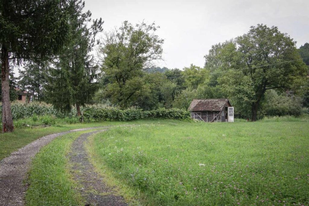 vodenica laktasi bih zito AA04