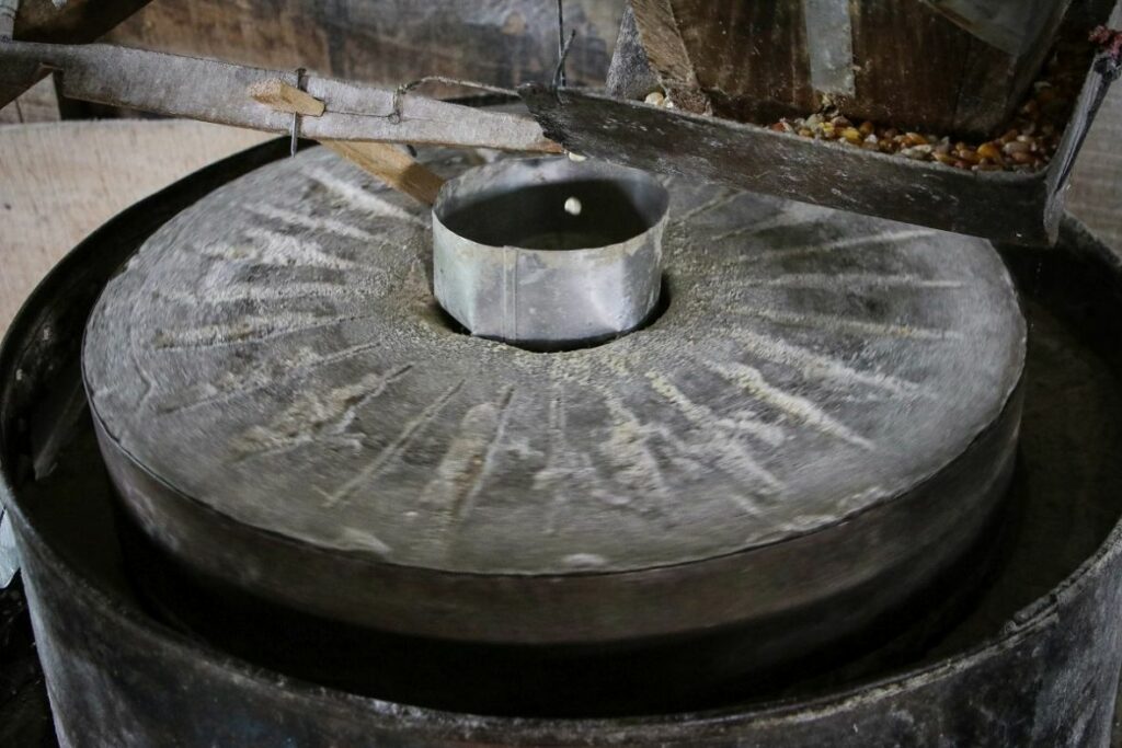 vodenica laktasi bih zito AA08