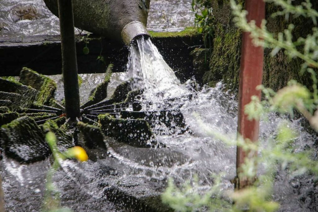 vodenica laktasi bih zito AA10