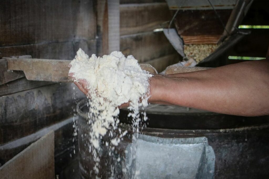 vodenica laktasi bih zito AA12