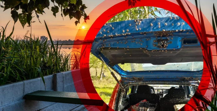 volim dunav 696x357 1