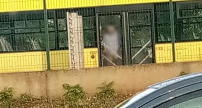 vozac mo bus urinira 696x373 1