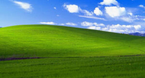 windows